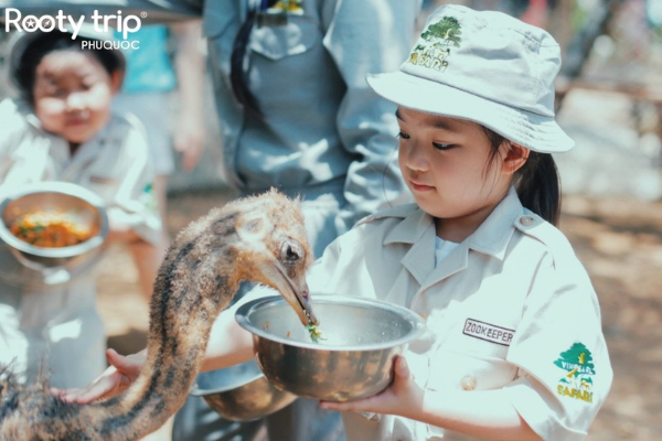 Junior Zoo Keeper program for children at Safari Phu Quoc Zoo