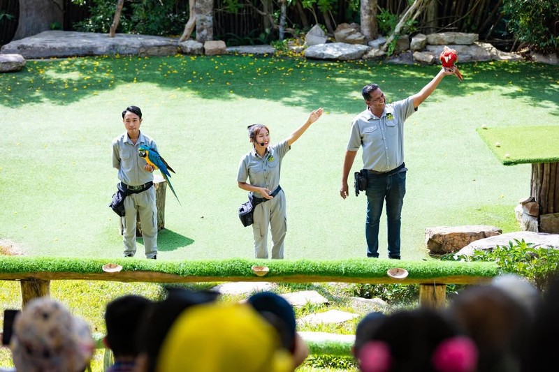 vinpearl safari bird show