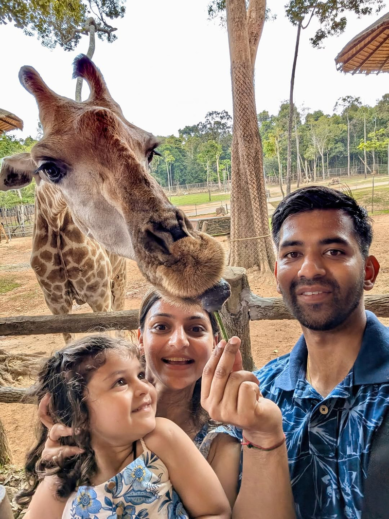 giraffe restaurant