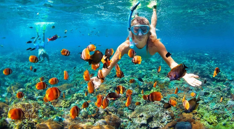 Tour câu cá lặn ngắm san hô, du khách được trang bị đầy đủ dụng cụ bơi lặn ngắm san hô