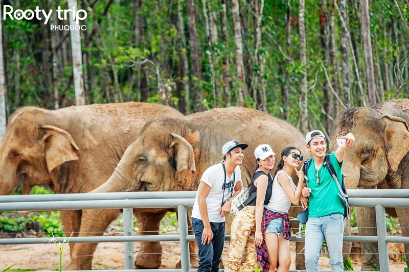 Chụp ảnh với các loài động vật quý hiếm tại Vườn thú Safari Phú Quốc
