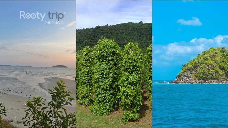 Mũi Đá Chồng Phú Quốc có gì chơi