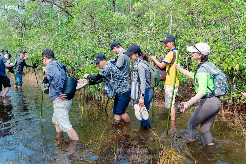 mũi hàm rồng phú quốc