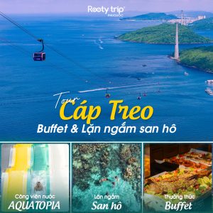 tour cáp treo lặn ngắm san hô phú quốc