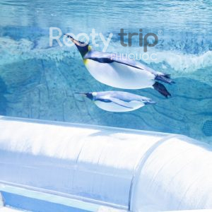 Tour Phú Quốc trọn gói 4N3Đ
