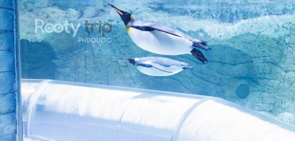 Tour Phú Quốc trọn gói 4N3Đ