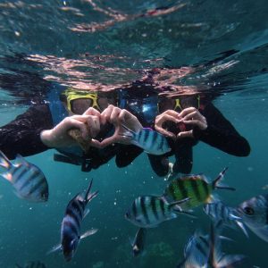 tour phú quốc 3n2d trọn gói vé tàu khứ hồi