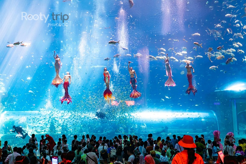 thủy cung tour vinwonders grand world 1 ngày