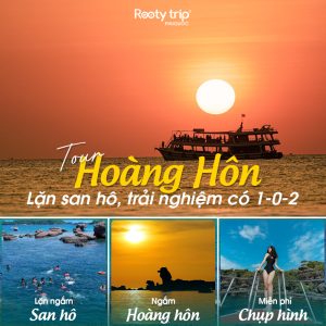 tour lặn ngắm san hô ngắm mặt trời