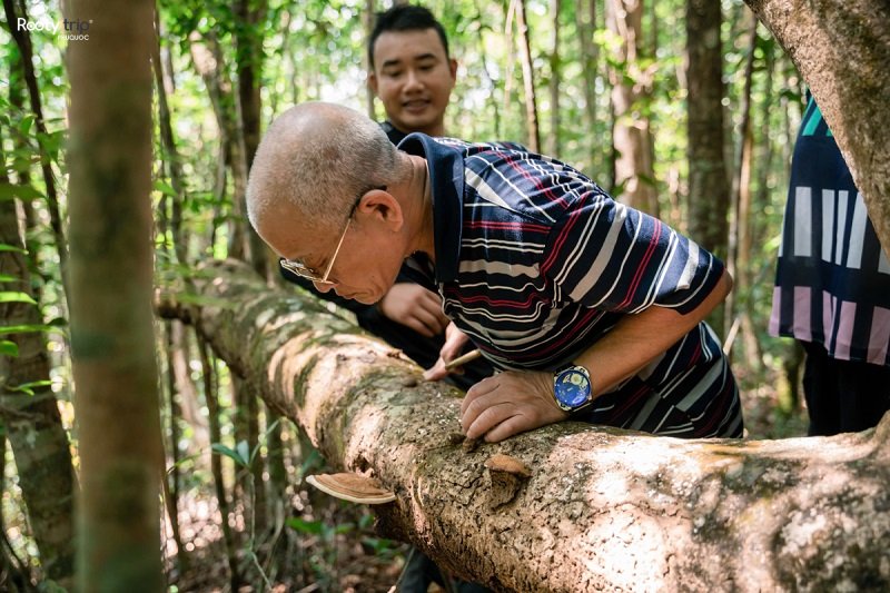 cung đường trekking tại phú quốc