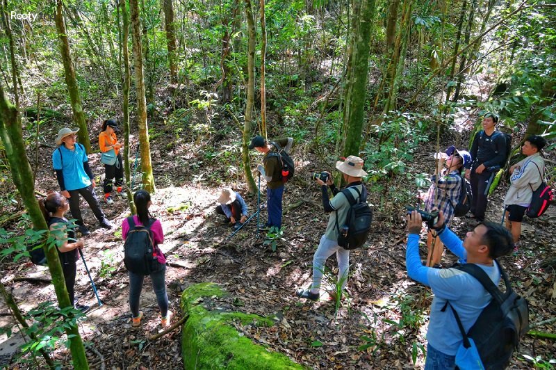 cung đường trekking tại phú quốc