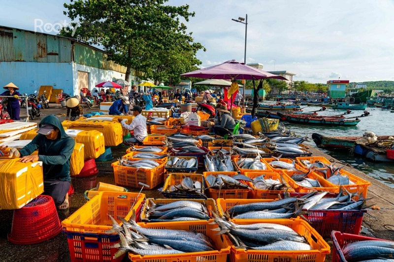 phú quốc 3 ngày 2 đêm tự túc