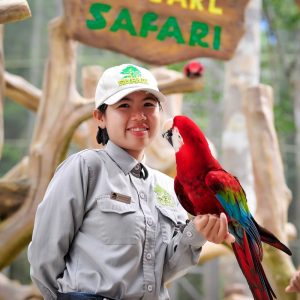 tour du lịch phú quốc 3n2d tự túc vinpearl