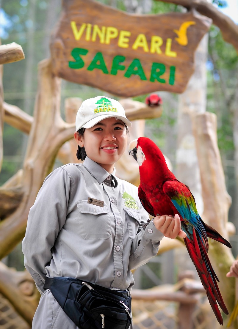 tour du lịch phú quốc 3n2d tự túc vinpearl