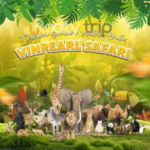 vé safari phú quốc