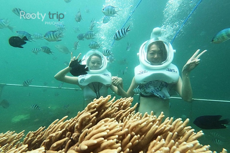 sea walker Phú Quốc