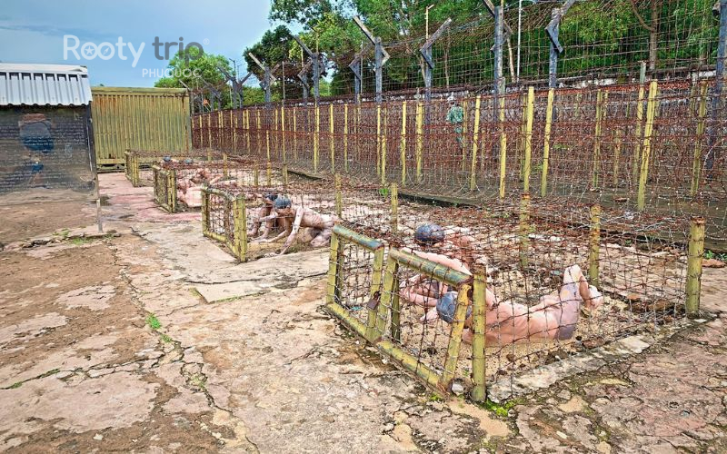các điểm tham quan ở nam đảo phú quốc