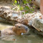 tour phú quốc 4 ngày 3 đêm vinpearl