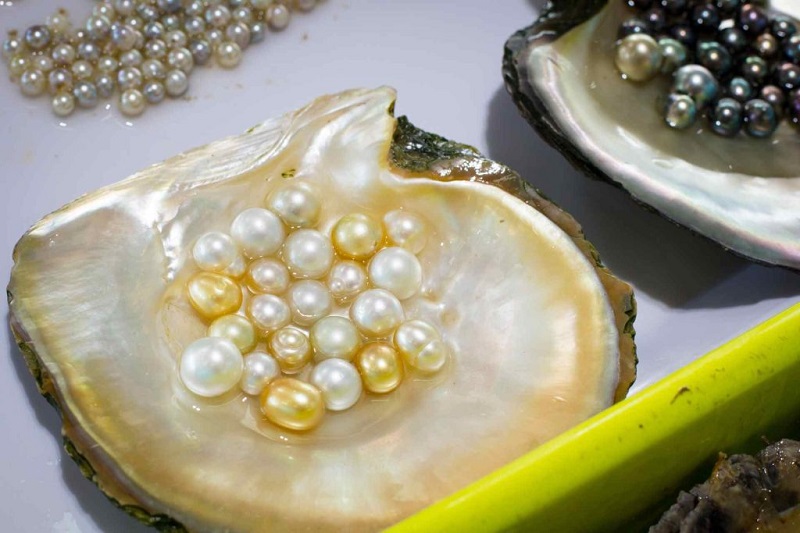 phu quoc pearls