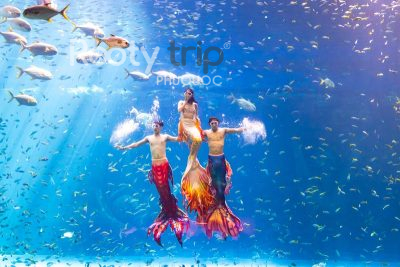 combo phú quốc 2 ngày 1 đêm
