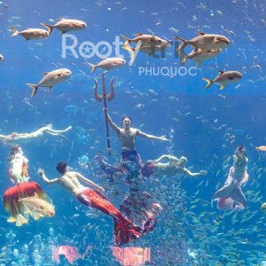 tour phú quốc 3 ngày 2 đêm vé tàu khứ hồi