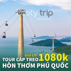 tour cáp treo hòn thơm trong ngày
