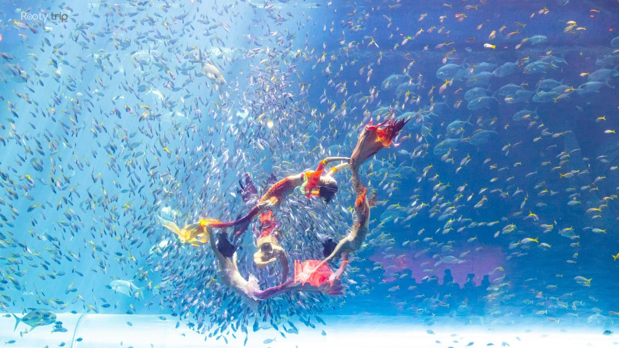 tour phú quốc 4 ngày 3 đêm