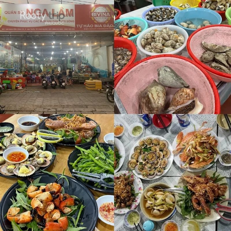 các món ốc ngon ở Phú Quốc