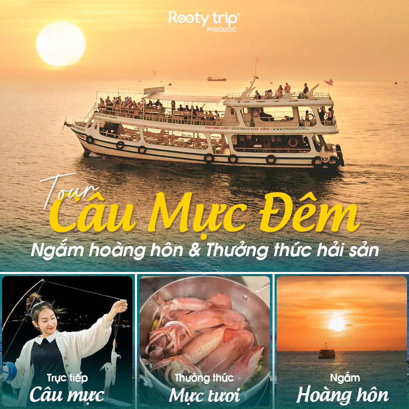 tour câu mực phú quốc
