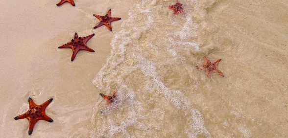 rach vem fishing village tour