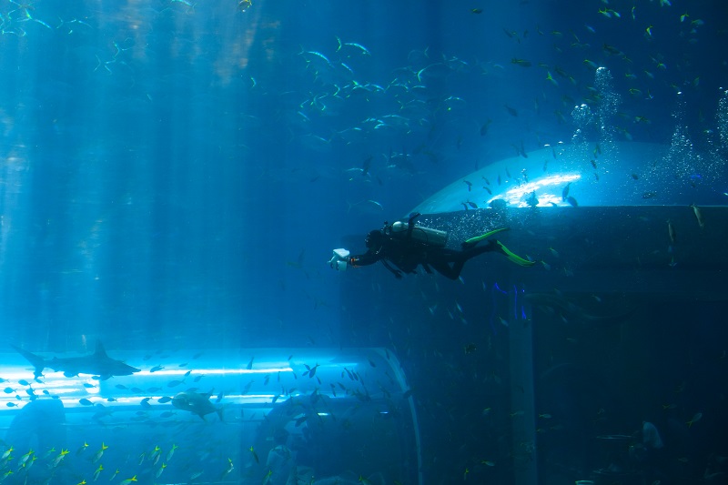 Vinwonders Phu Quoc tickets