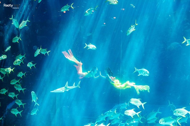 Phu Quoc Day Trip VinWonders & Grand World