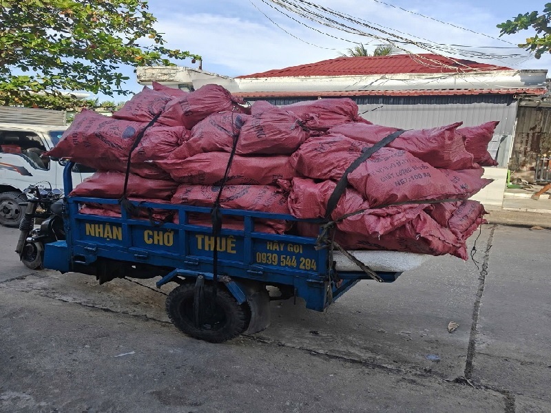 vệ sinh sạn san hô