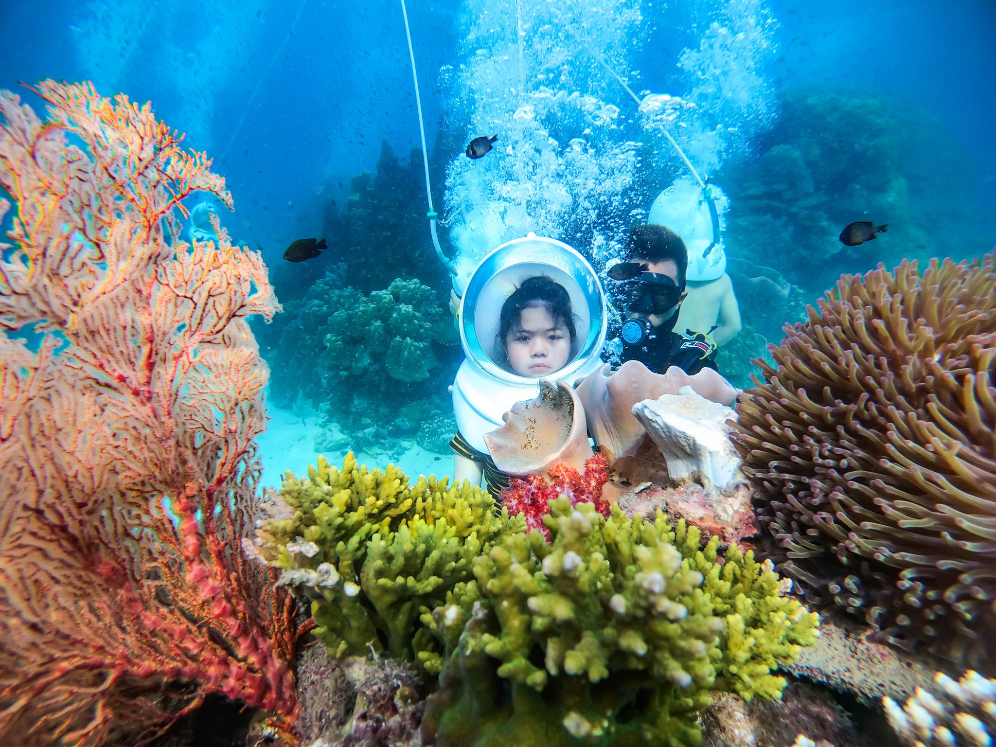 vé đi bộ dưới đáy biển