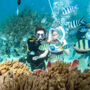 vé đi bộ dưới đáy biển