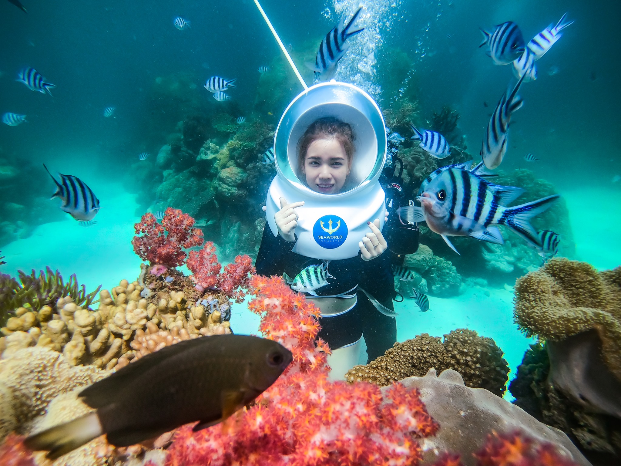 vé đi bộ dưới đáy biển