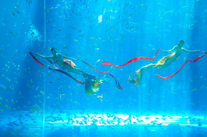 Vinwonders Phu Quoc tickets