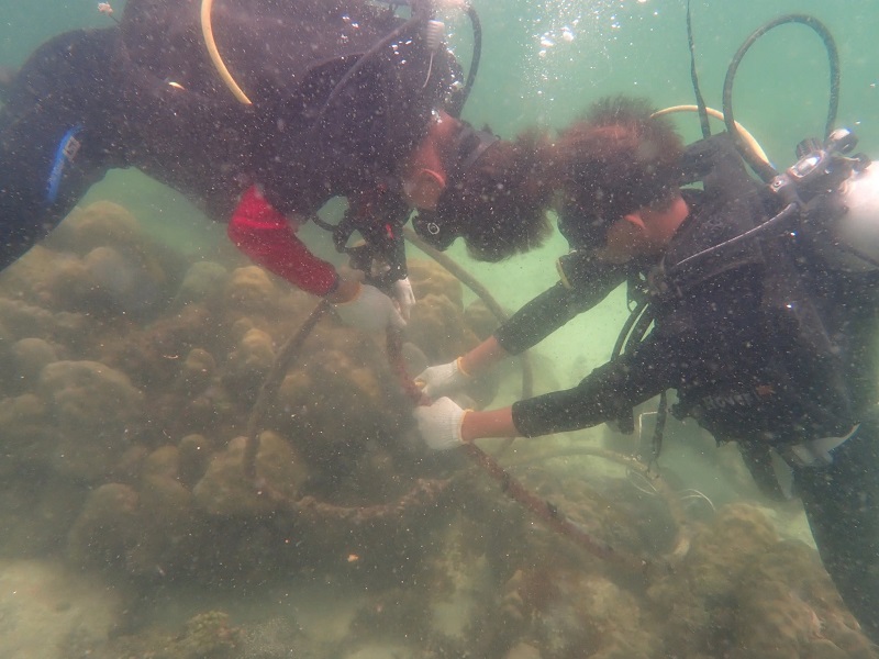 vệ sinh rạn san hô