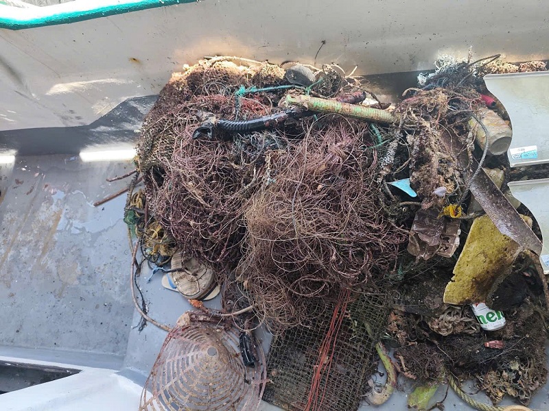 vệ sinh rạn san hô