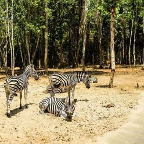 富国岛野生动物园