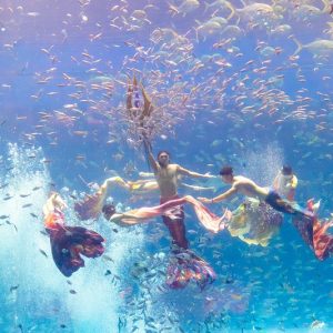 vé vinwonders phú quốc