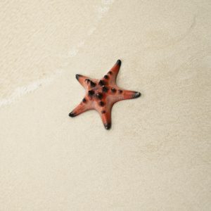 Rach Vem Fishing Village Tour