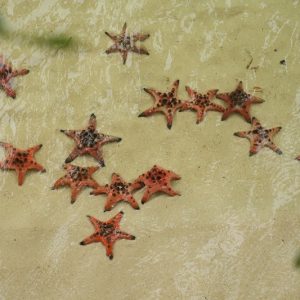 Rach Vem Fishing Village Tour