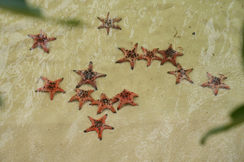 Rach Vem Fishing Village Tour