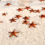 Rach Vem Fishing Village Tour