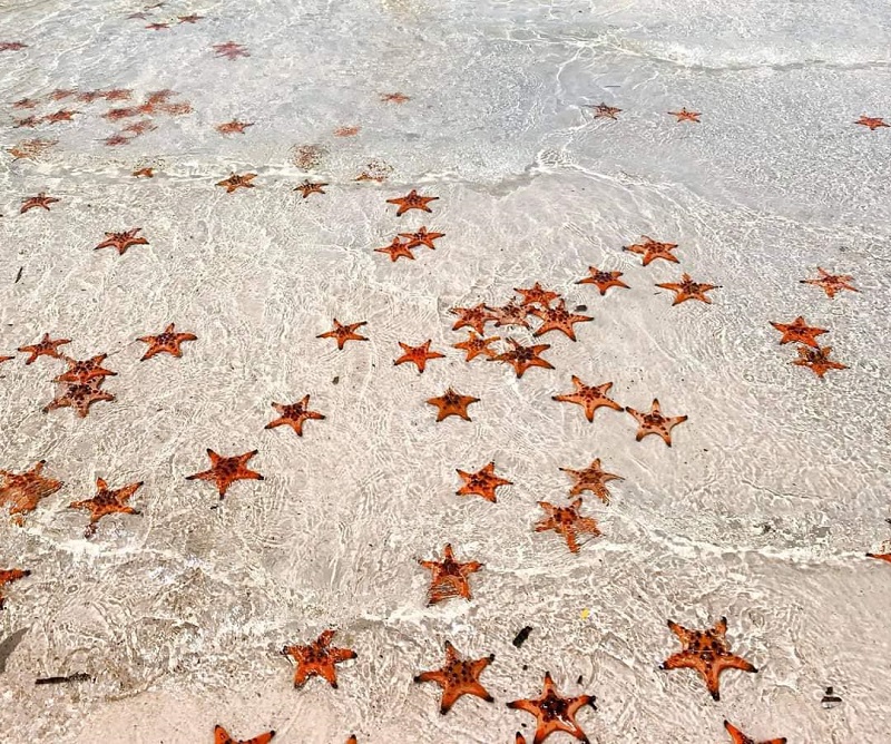 Rach Vem Fishing Village Tour