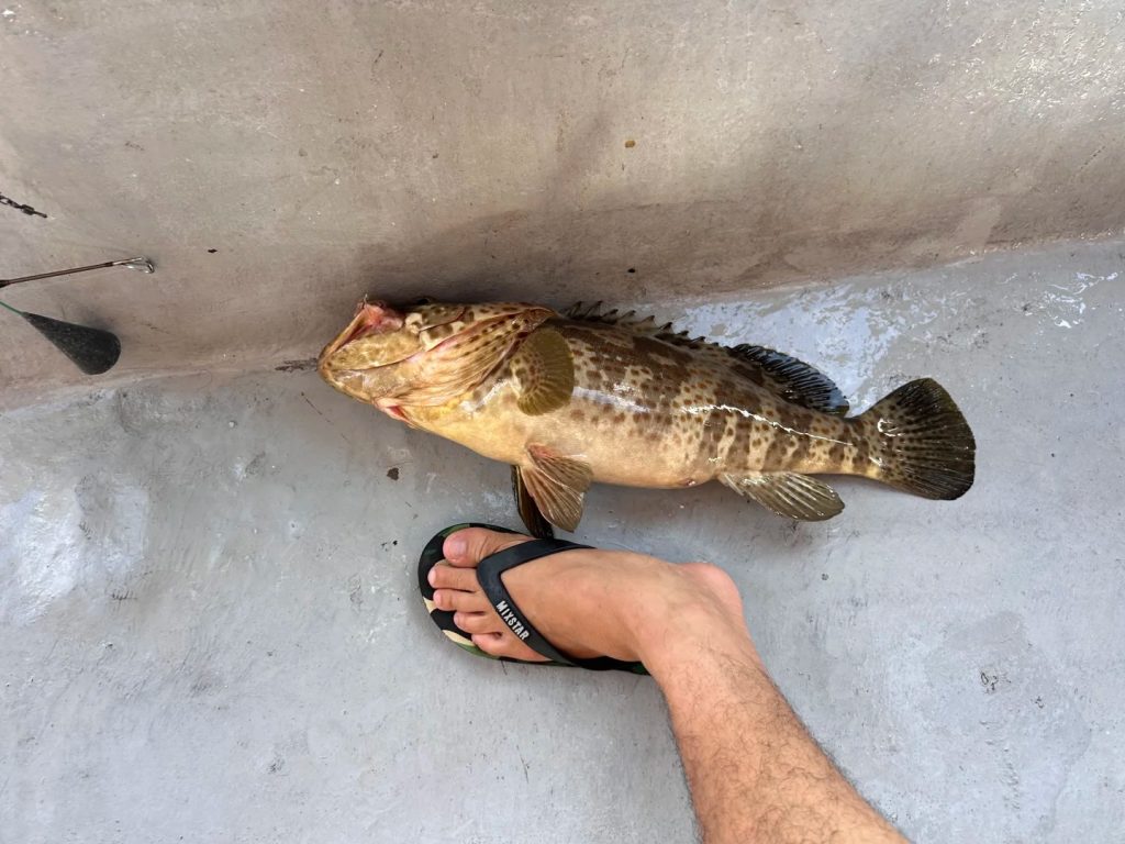 tour câu cá lớn phú quốc