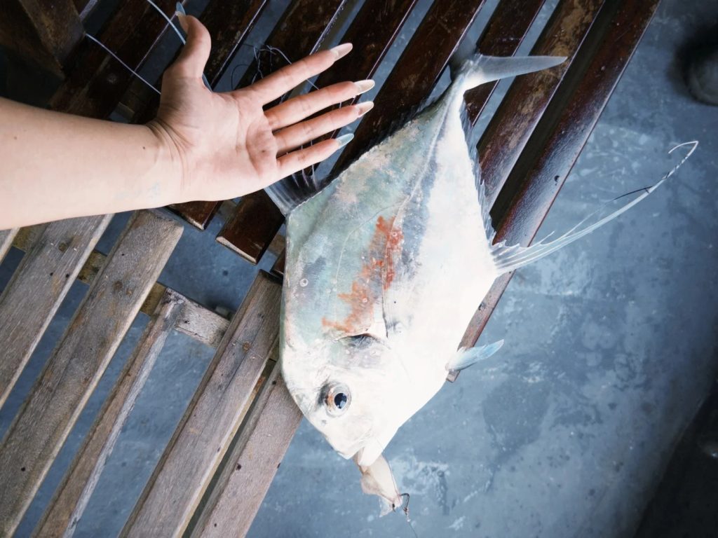 tour câu cá lớn phú quốc