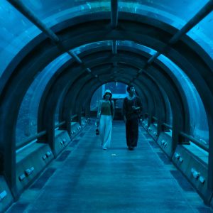 tour 3 ngày 2 đêm phú quốc