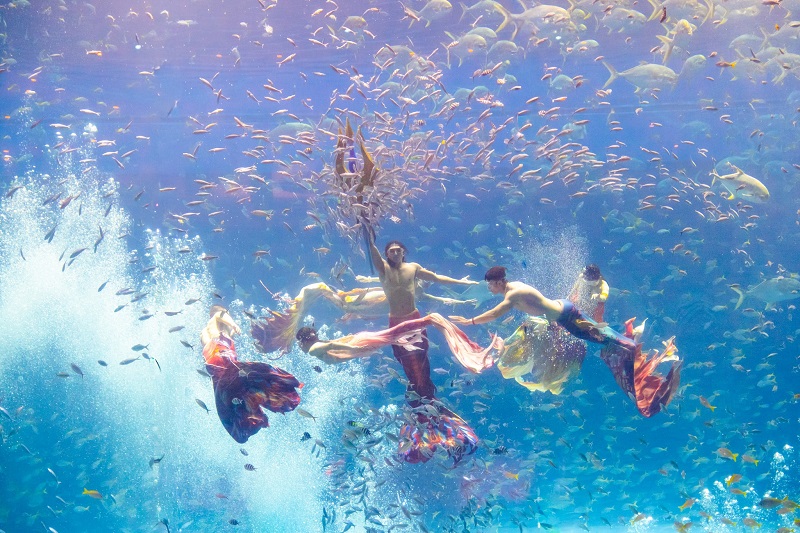 Vinwonders Phu Quoc tour